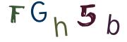 Obrázkové CAPTCHA