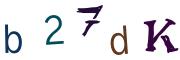 Obrázkové CAPTCHA