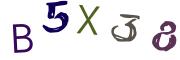 Obrázkové CAPTCHA