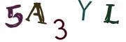 Obrázkové CAPTCHA
