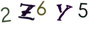 Obrázkové CAPTCHA
