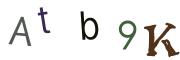 Obrázkové CAPTCHA