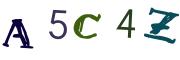 Obrázkové CAPTCHA