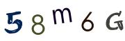 Obrázkové CAPTCHA
