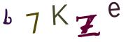 Obrázkové CAPTCHA