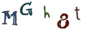 Obrázkové CAPTCHA