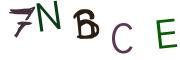 Obrázkové CAPTCHA