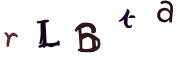 Obrázkové CAPTCHA