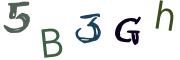 Obrázkové CAPTCHA