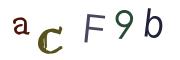 Obrázkové CAPTCHA