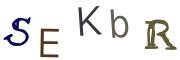 Obrázkové CAPTCHA