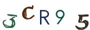 Obrázkové CAPTCHA