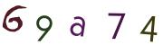 Obrázkové CAPTCHA