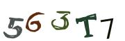 Obrázkové CAPTCHA