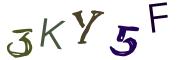 Obrázkové CAPTCHA