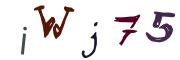 Obrázkové CAPTCHA