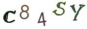 Obrázkové CAPTCHA