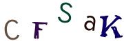 Obrázkové CAPTCHA