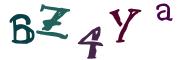 Obrázkové CAPTCHA