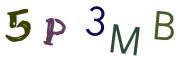 Obrázkové CAPTCHA