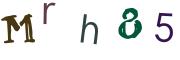 Obrázkové CAPTCHA