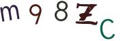 Obrázkové CAPTCHA