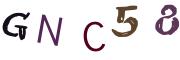 Obrázkové CAPTCHA