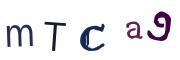 Obrázkové CAPTCHA
