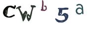 Obrázkové CAPTCHA