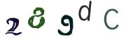 Obrázkové CAPTCHA