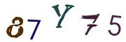 Obrázkové CAPTCHA