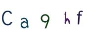Obrázkové CAPTCHA