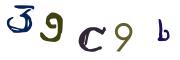 Obrázkové CAPTCHA