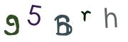 Obrázkové CAPTCHA