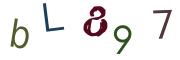 Obrázkové CAPTCHA