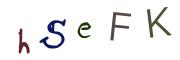 Obrázkové CAPTCHA