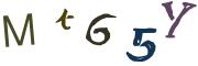 Obrázkové CAPTCHA