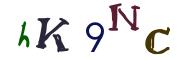 Obrázkové CAPTCHA