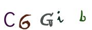 Obrázkové CAPTCHA