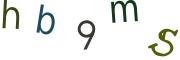 Obrázkové CAPTCHA