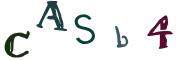 Obrázkové CAPTCHA