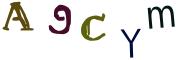 Obrázkové CAPTCHA