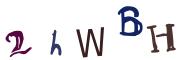 Obrázkové CAPTCHA