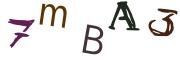 Obrázkové CAPTCHA